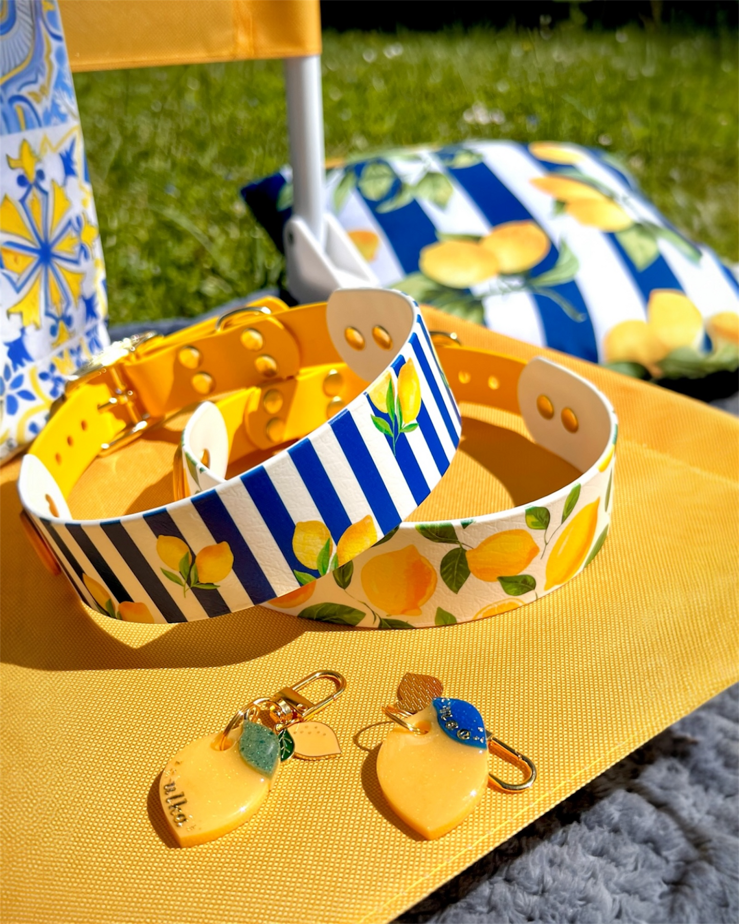 Collier chien Blu Limone 🍋