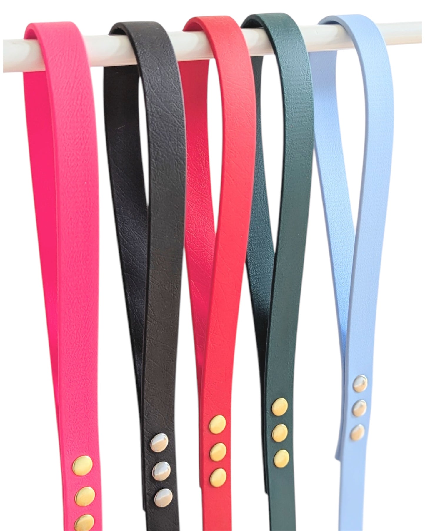 Laisse classique Biothane®