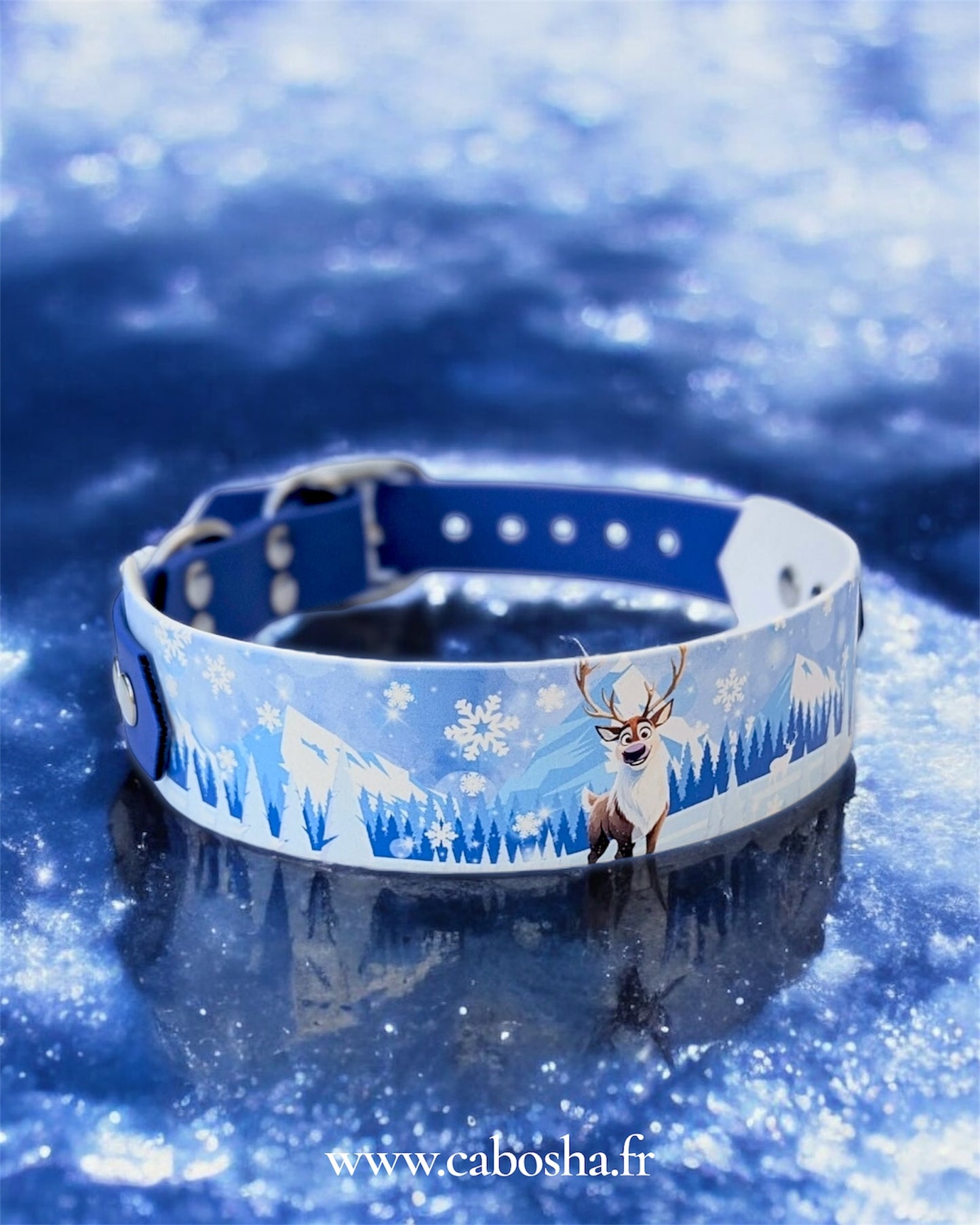 Collier chien Frosty ❄️