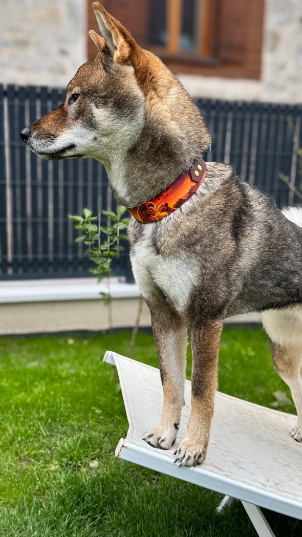 Collier SIMBA