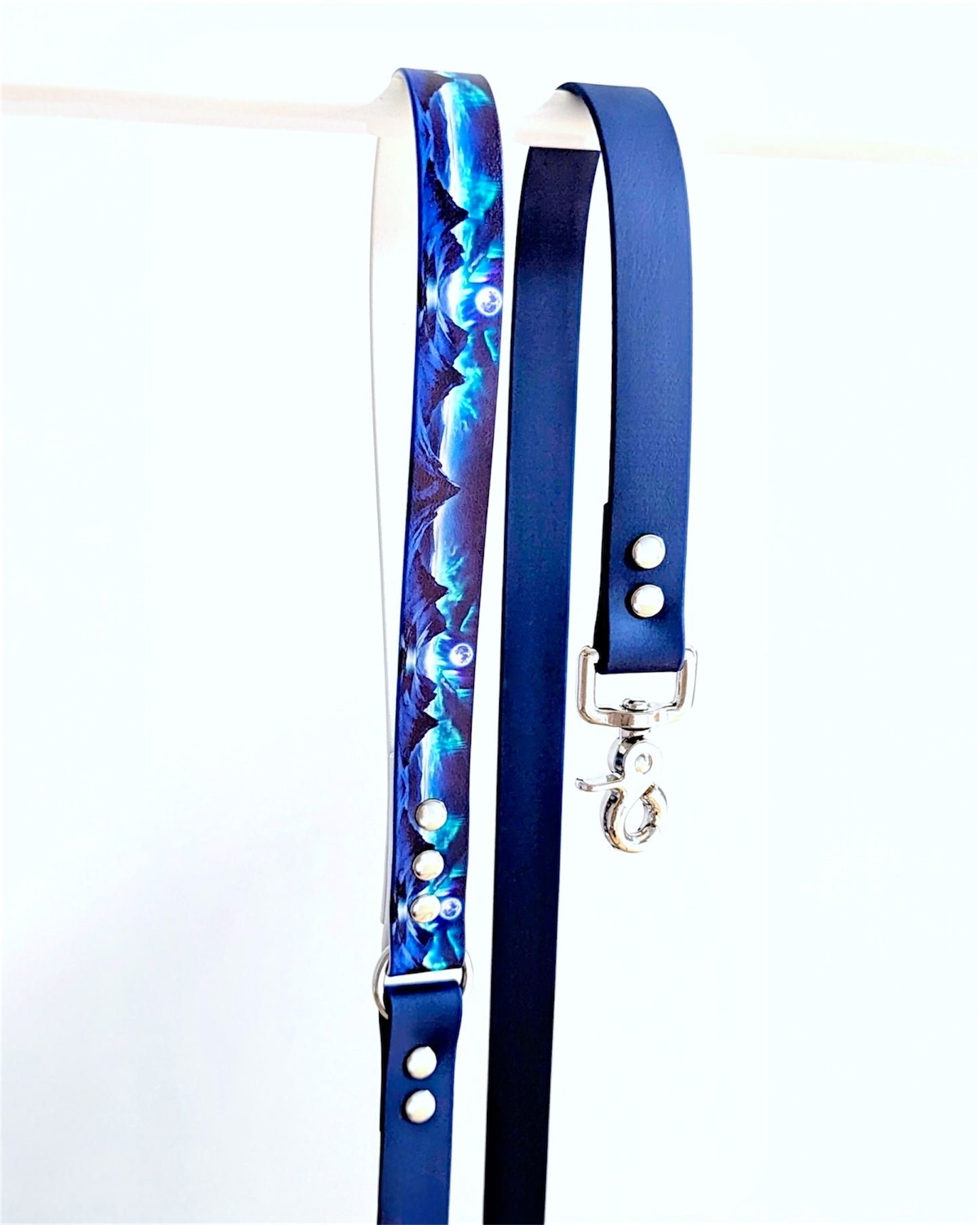 Laisse chien imprimée Signature ✨