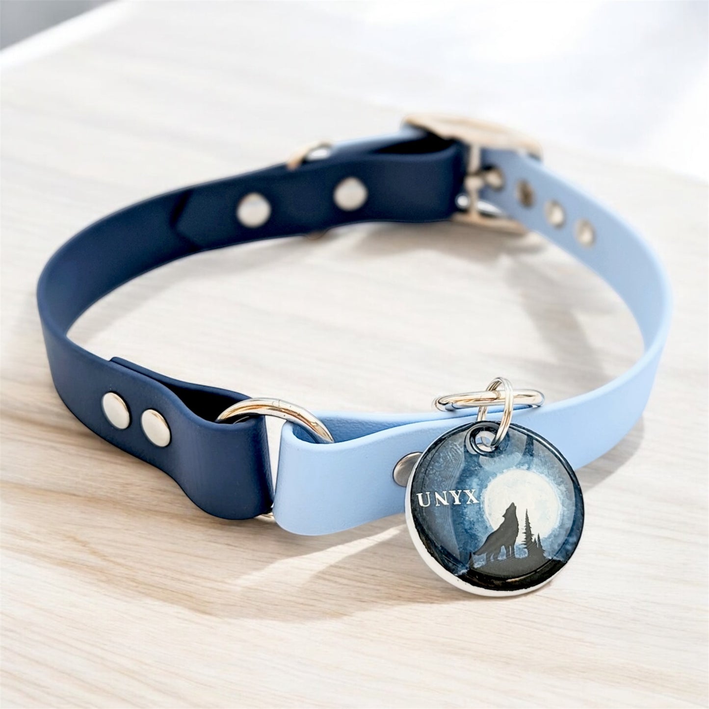 Collier Biothane Duo à boucle ajustable