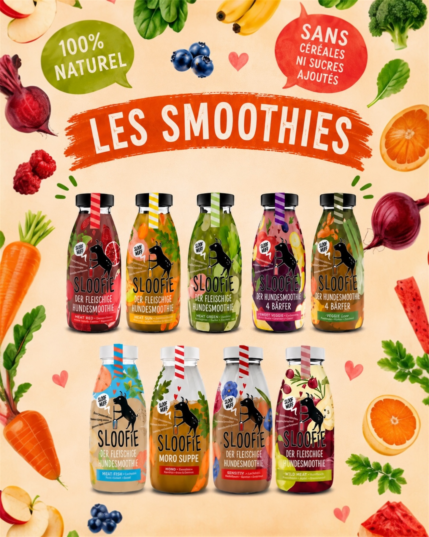 Smoothies pour Chiens - Sloofie