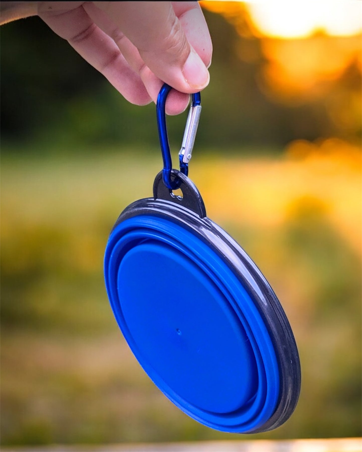 🥣 Gamelle pliable en silicone – 350 ml 🐾