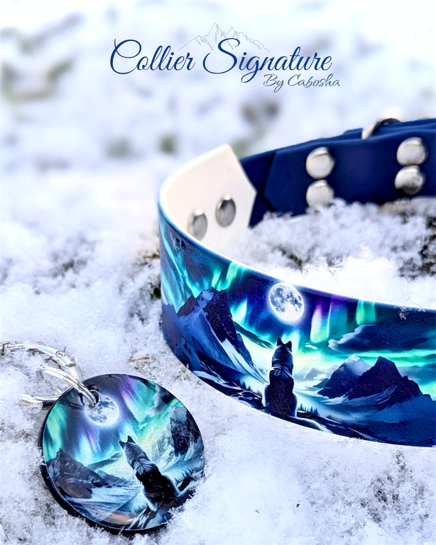 Collier chien Signature