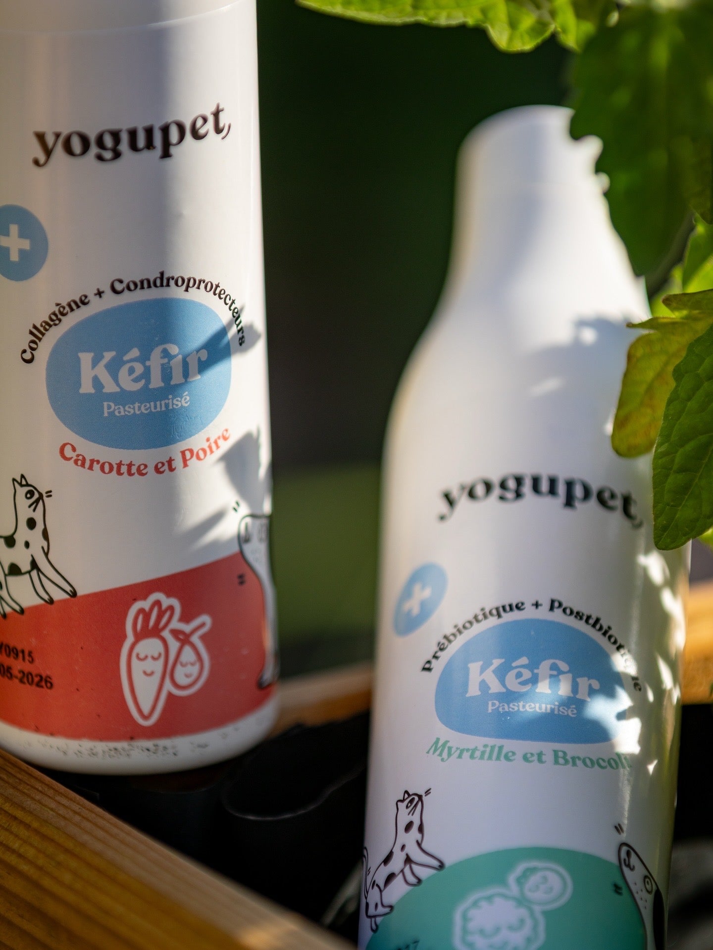 Kéfir YOGUPET