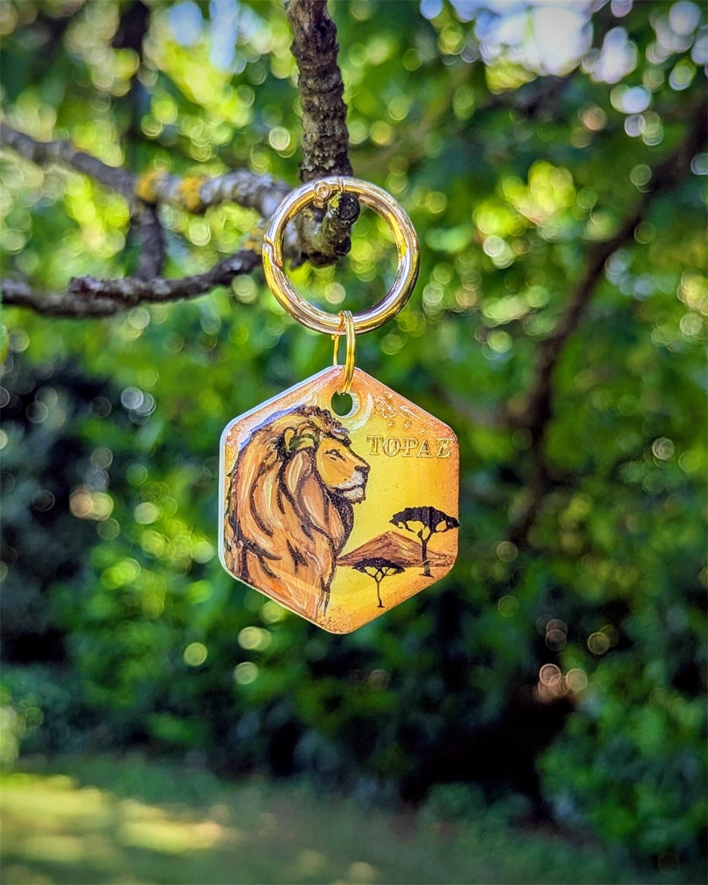 Médaille chiens CABOLION