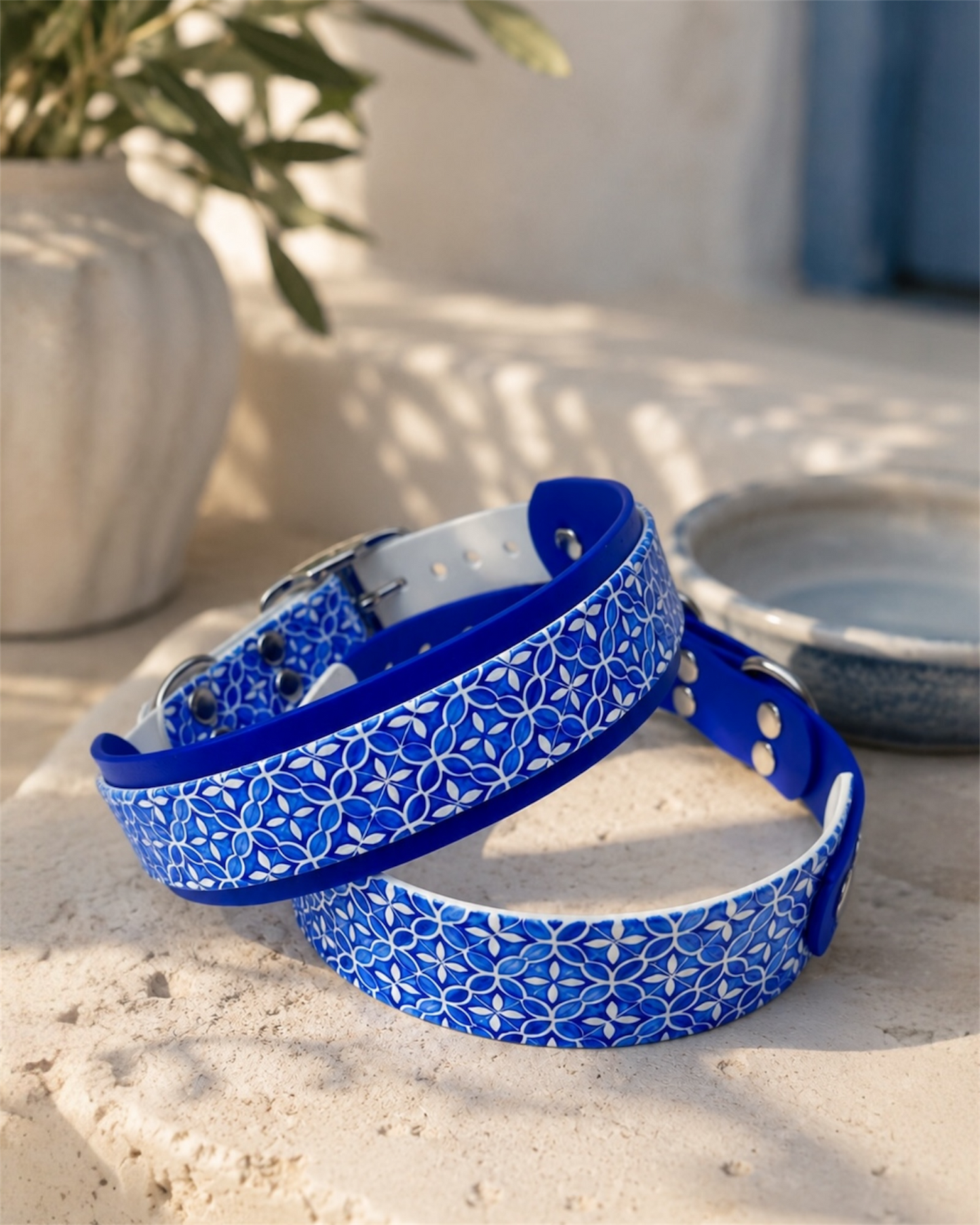 Collier chien Azzurro