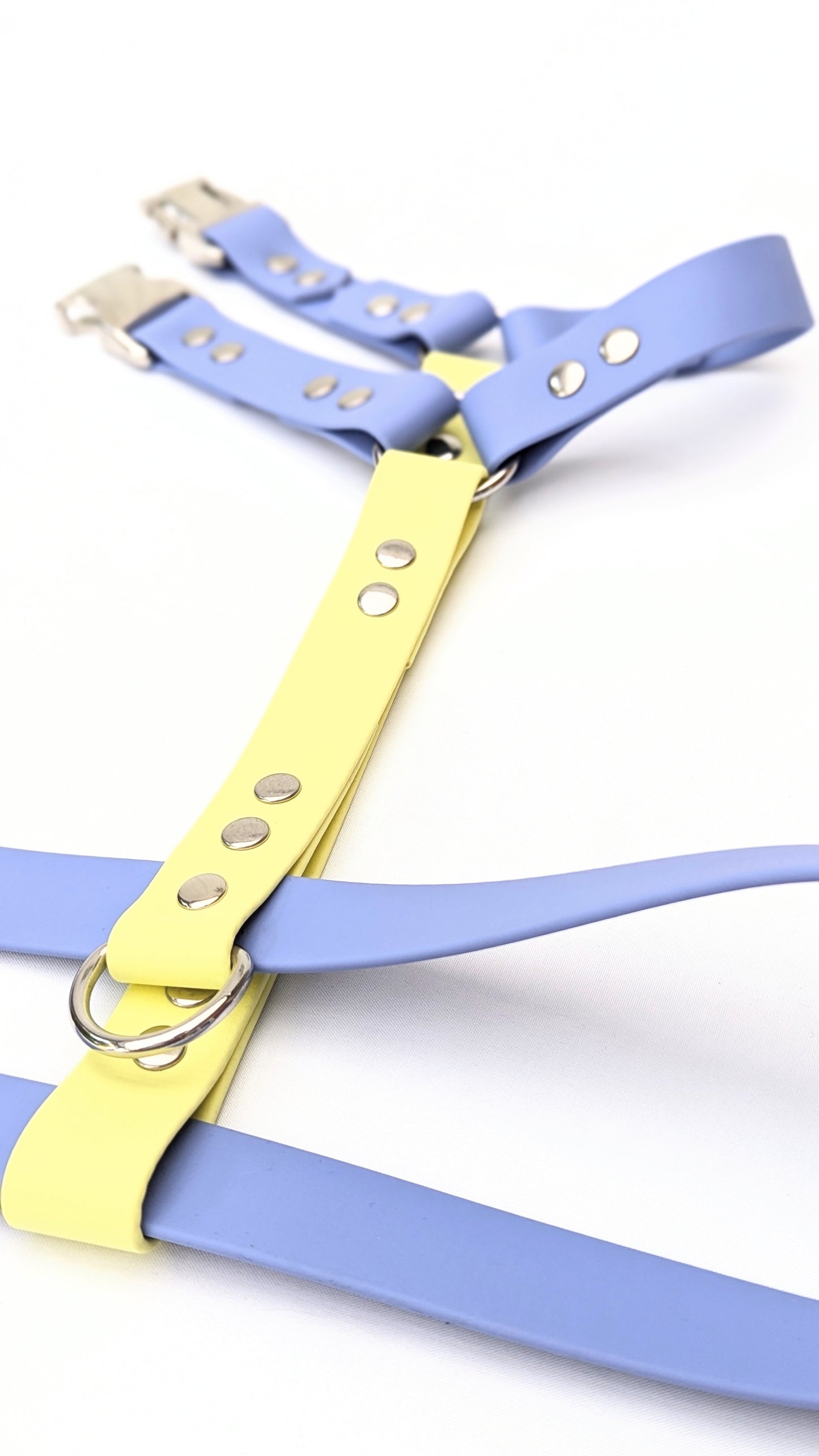Harnais Duo BioThane® sur mesure