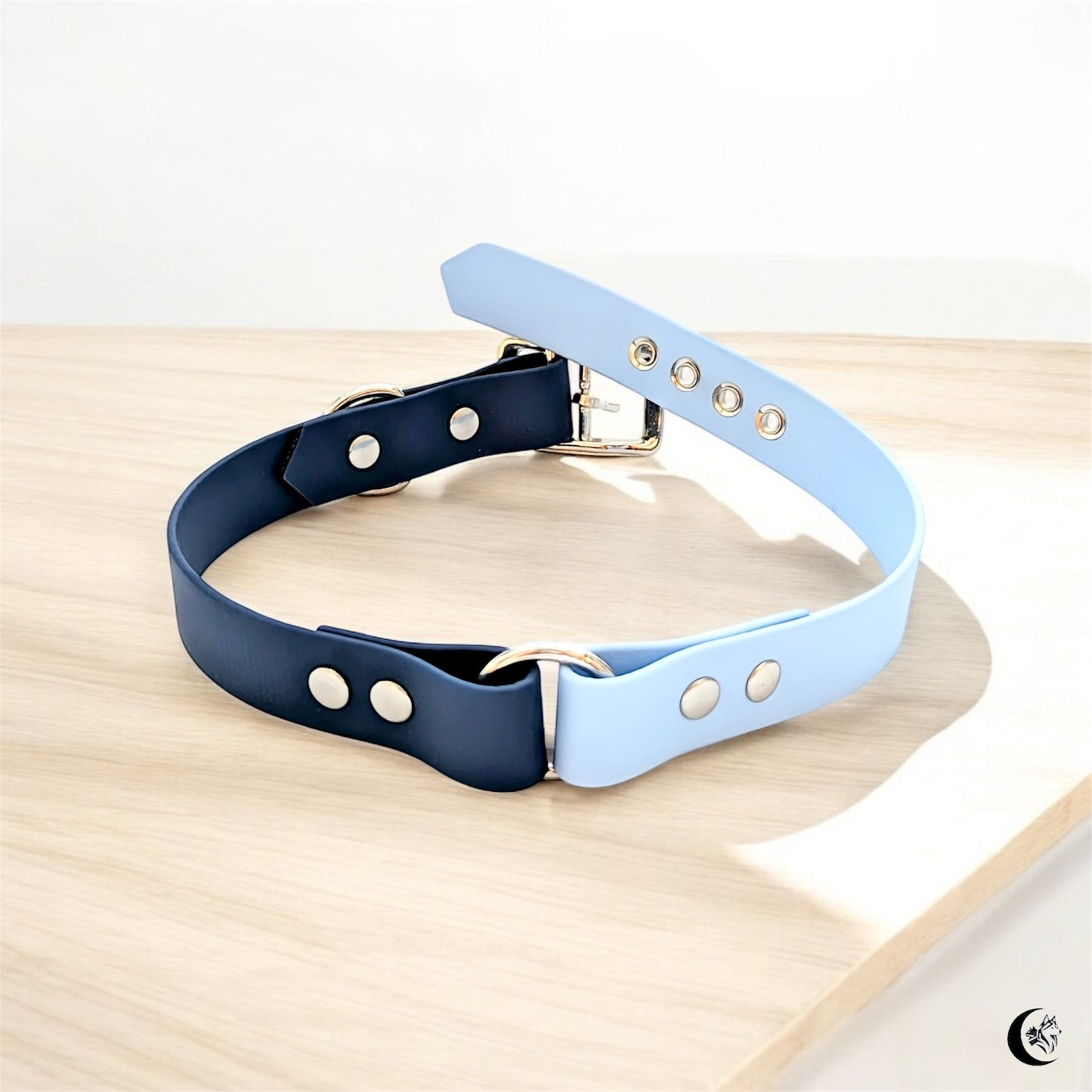 Collier Biothane Duo à boucle ajustable
