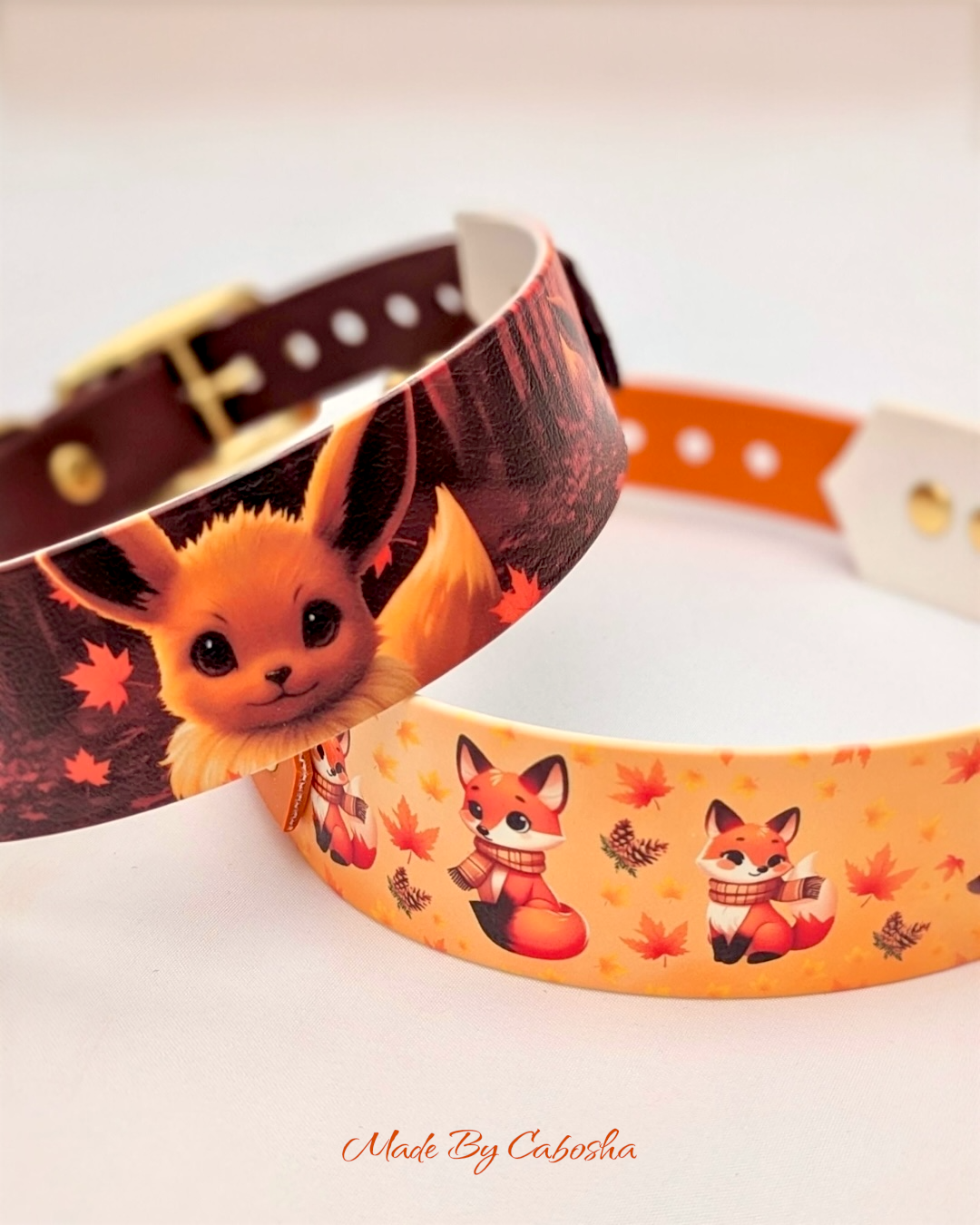 Collier chien Renalya đđŠ