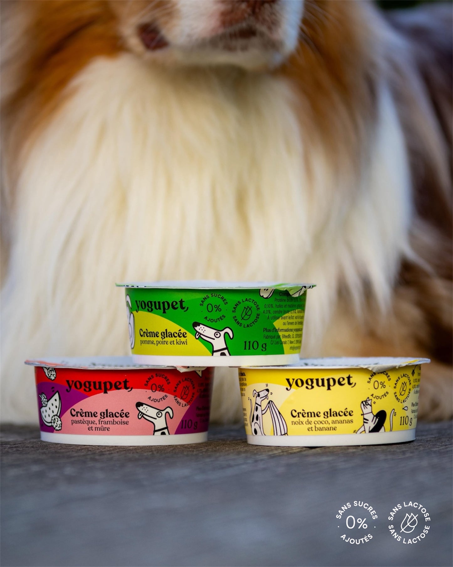 Crème glacée YOGUPET