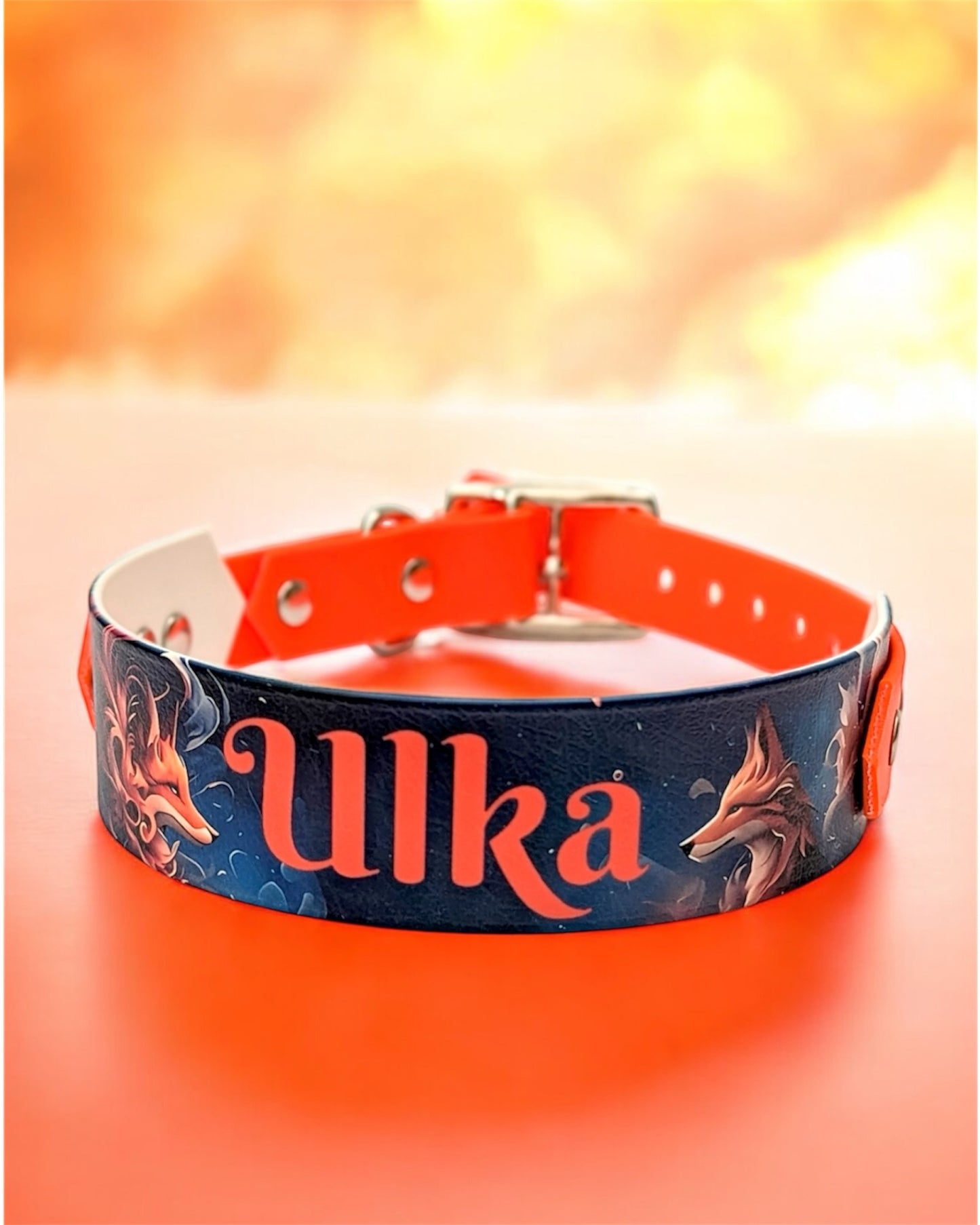 Collier Chien Imprimé (100% personnalisé)