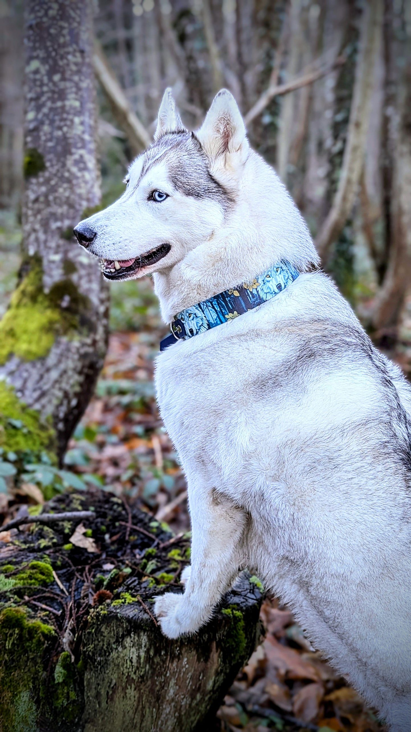 Collier White Wolf