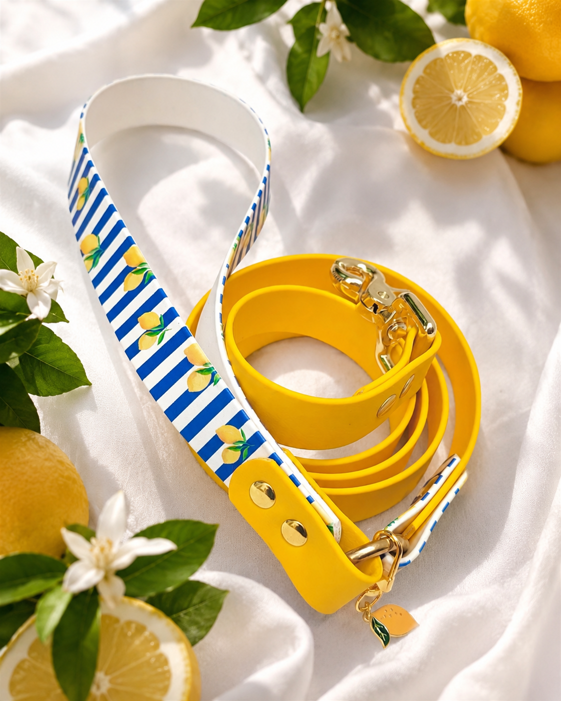 Laisse chien imprimée Blu Limone 🍋