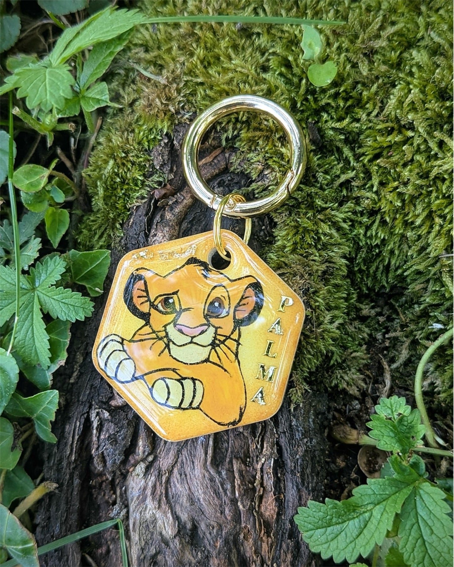 Médaille chiens CABOLION