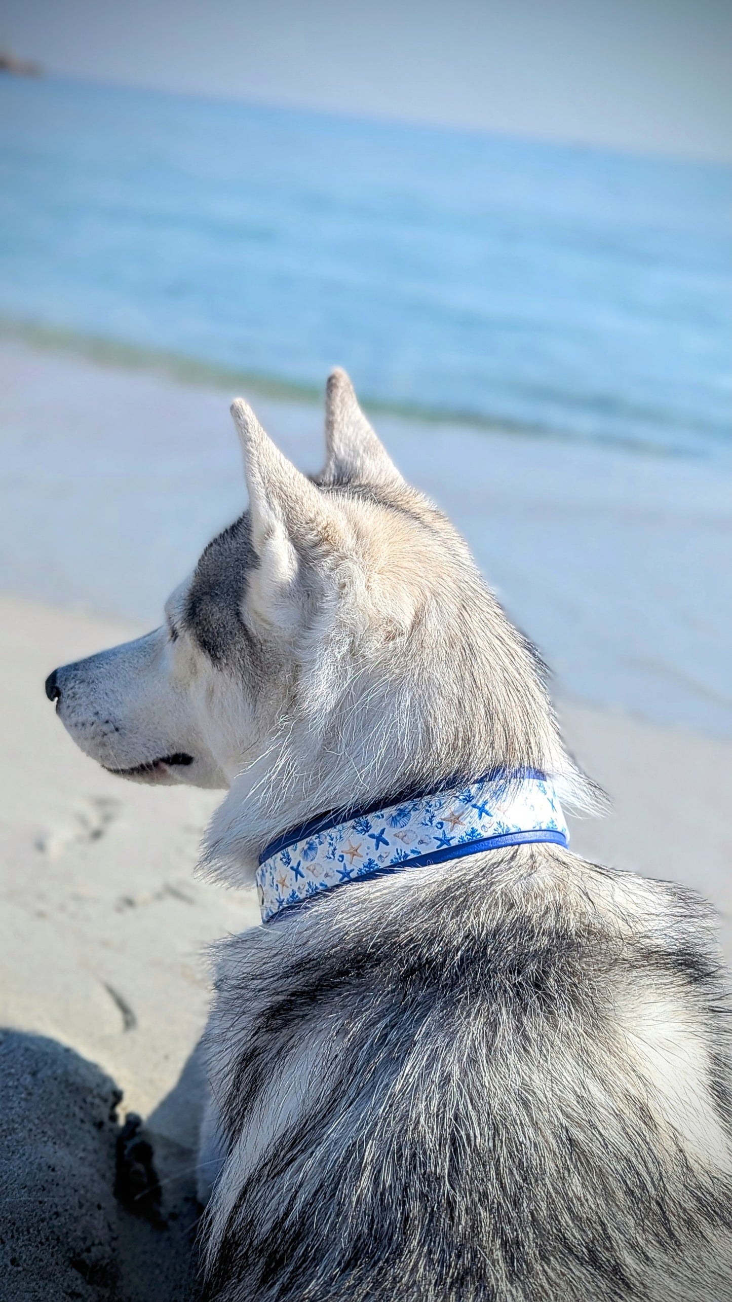 Collier Blue Lagoon