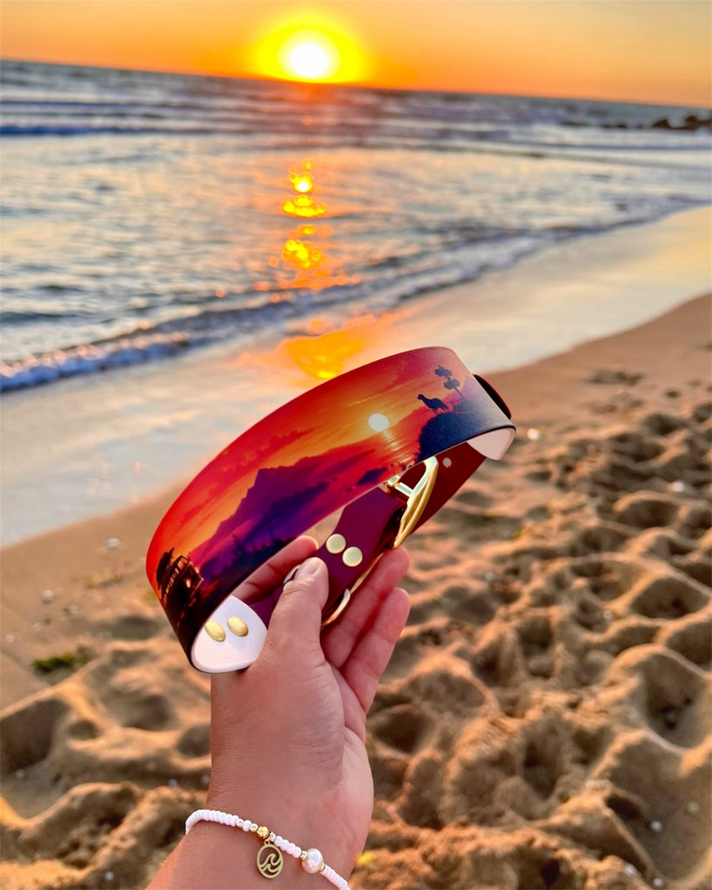 Collier chien Sunset Road 🌅