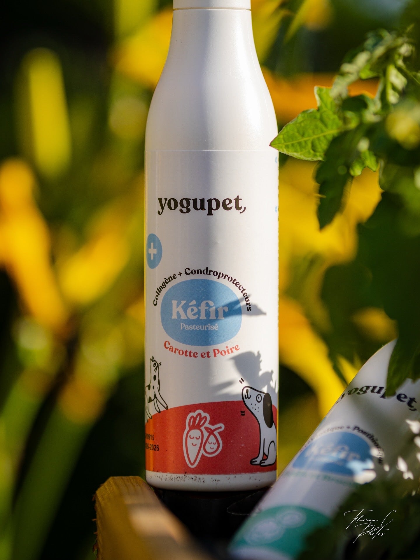 Kéfir YOGUPET