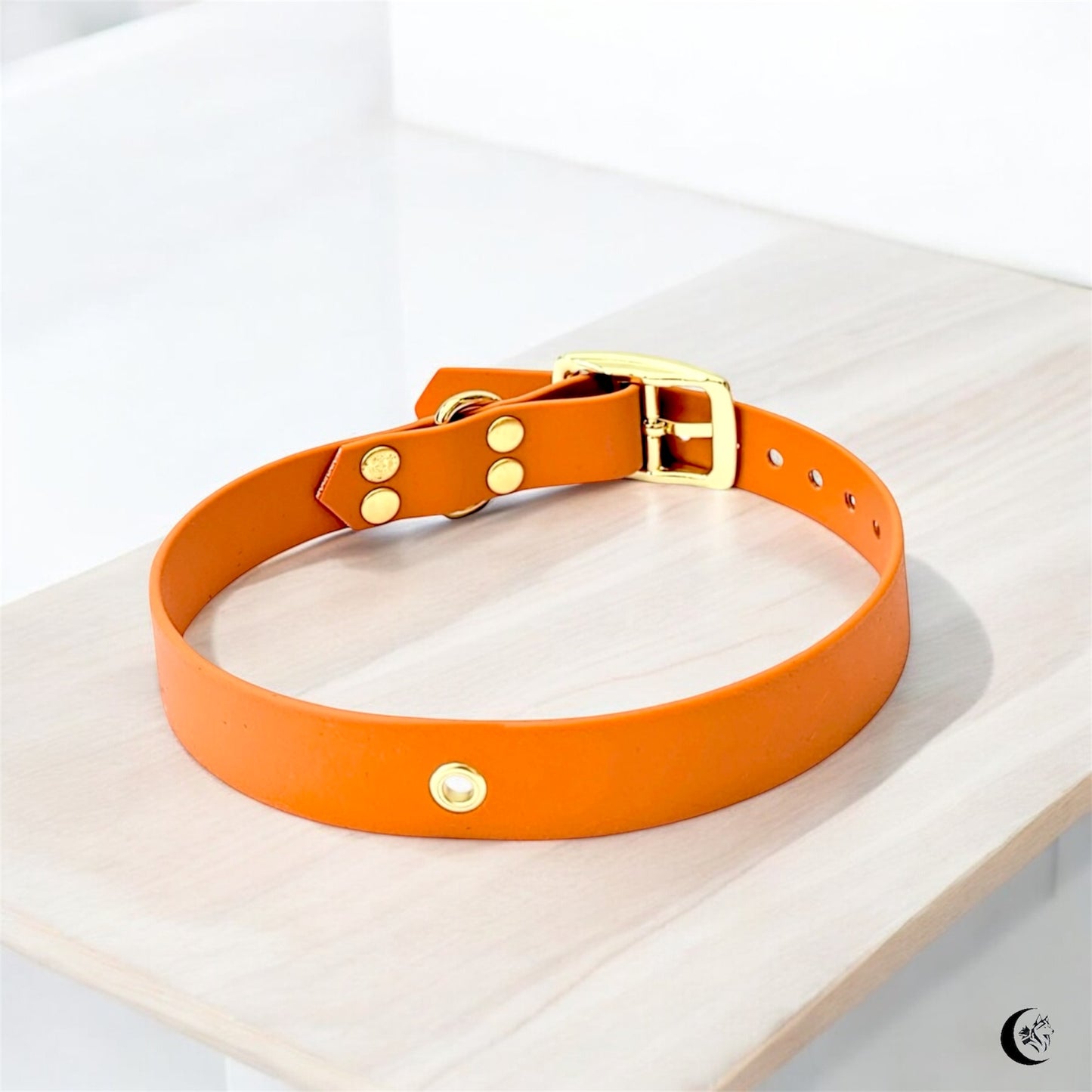Collier Biothane® à boucle ajustable