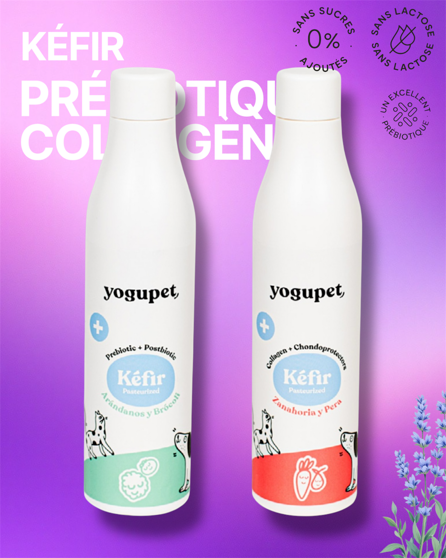 Kéfir YOGUPET