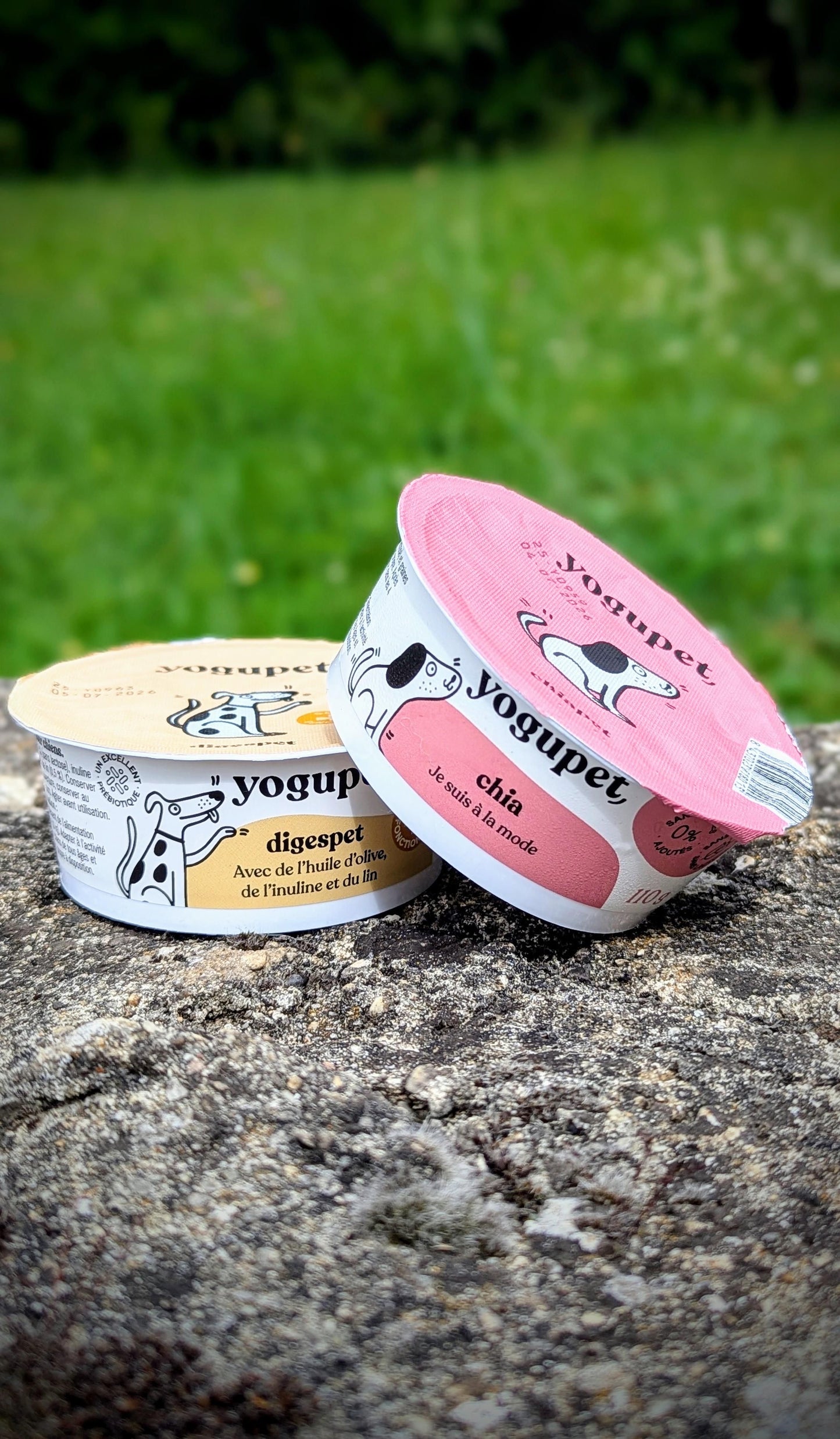 Yaourts Fonctionnels YOGUPET