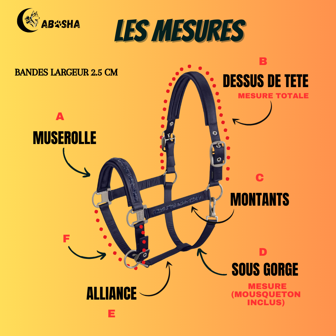 Licol cheval personnalisé