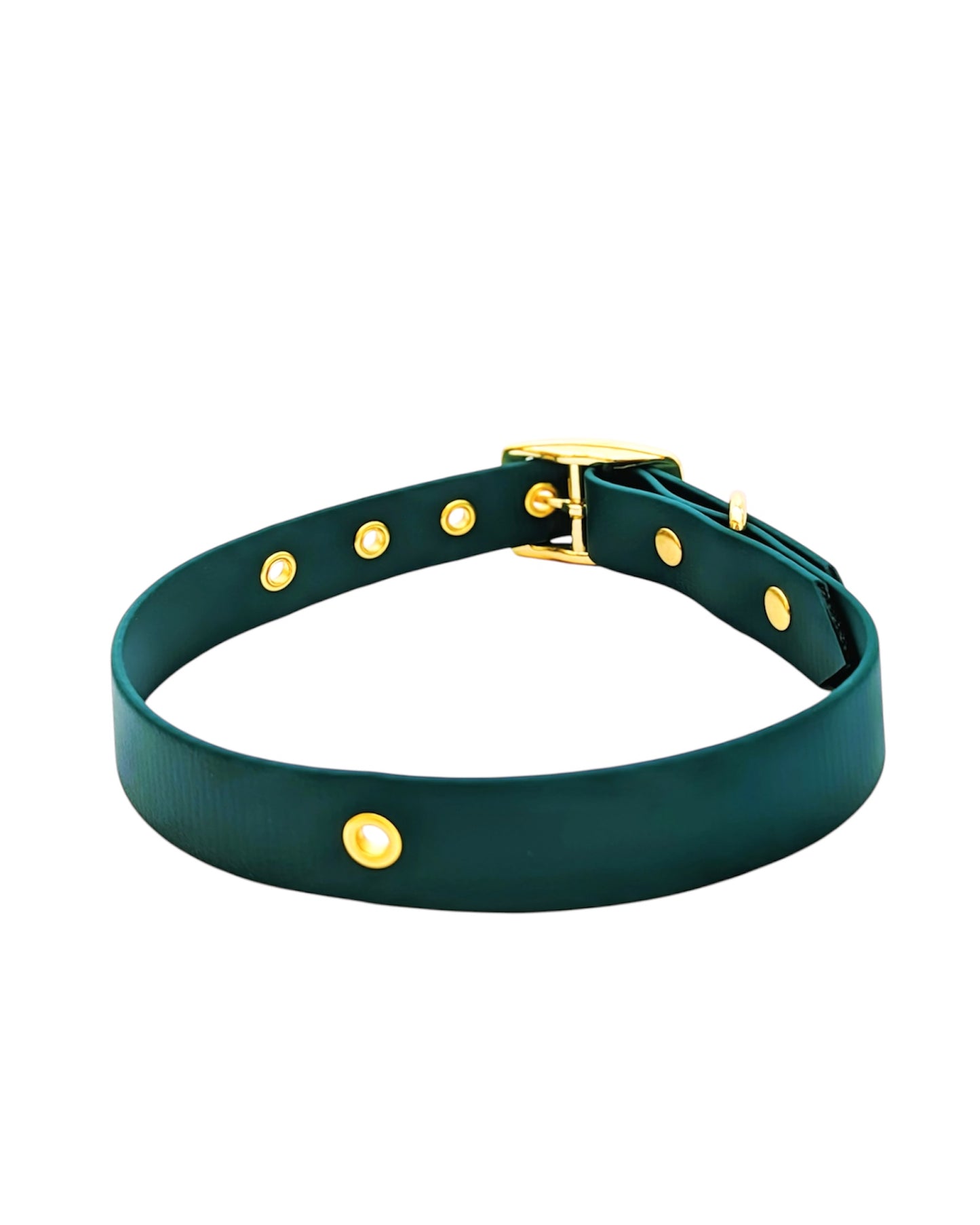 Collier Biothane® à boucle ajustable