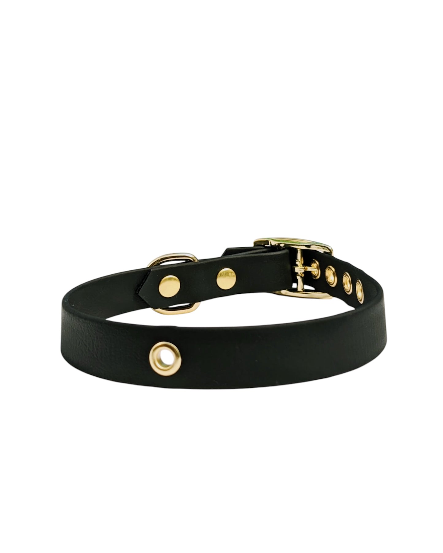 Collier Biothane® à boucle ajustable