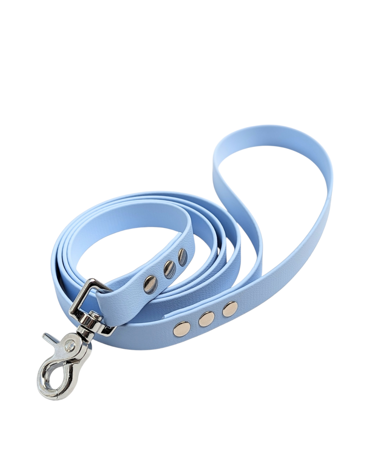 Laisse classique Biothane®