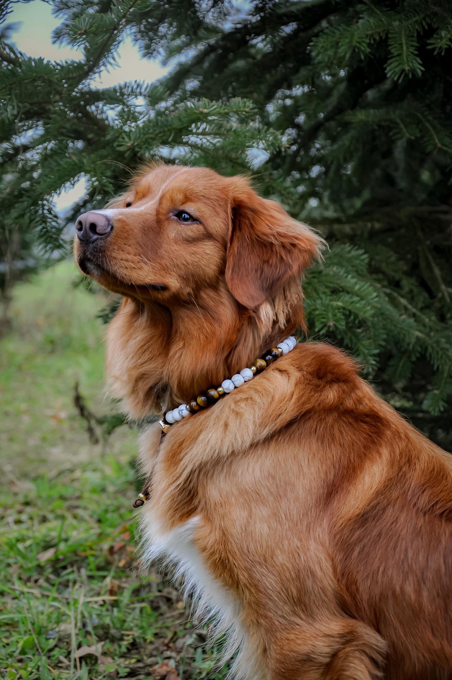 Les Colliers perles naturelles