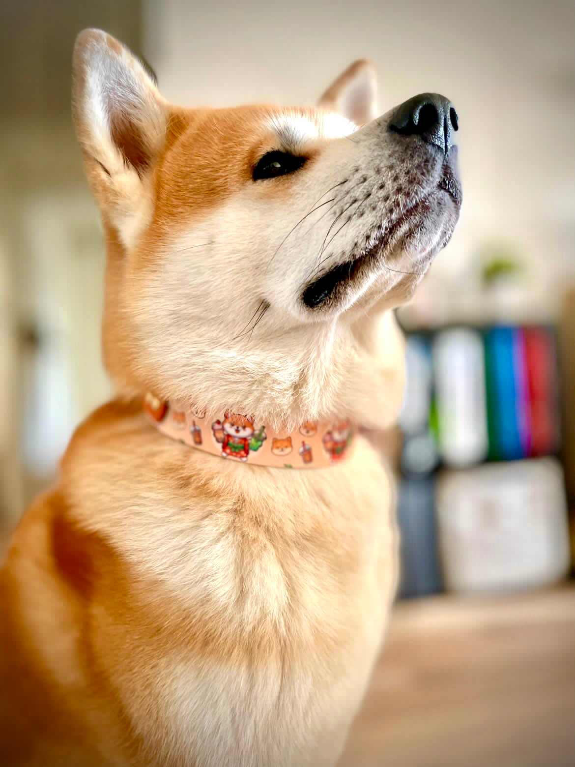 Les colliers imprimés