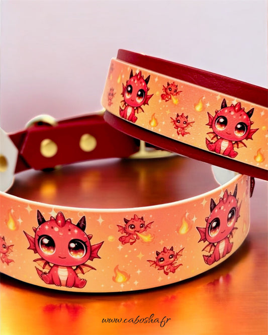 Collier chien HoshiRyuu 🐉