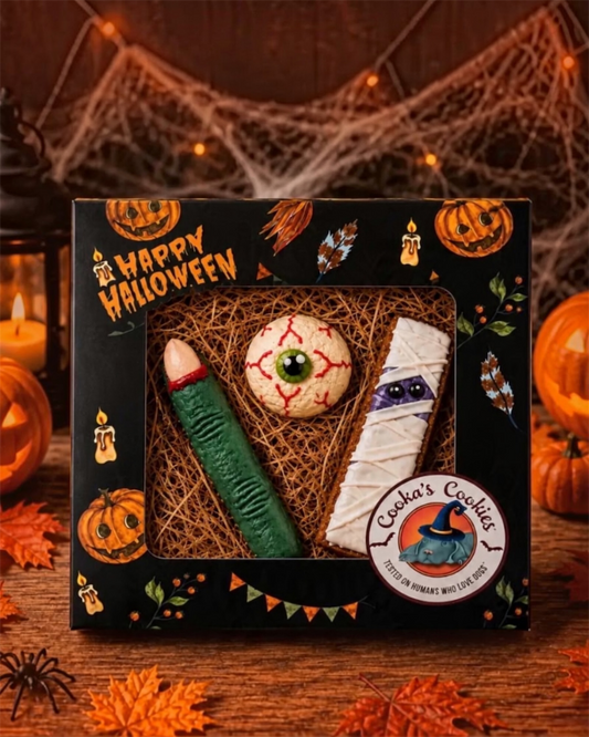 Box effrayante- friandises gourmandes pour chiens d’Halloween