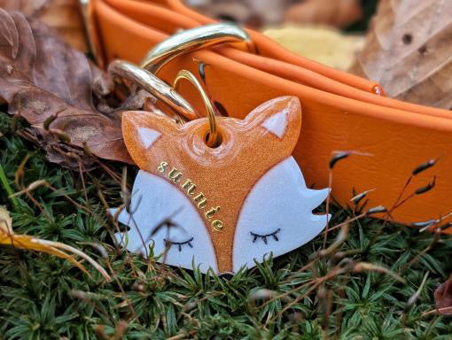 Médaille chien Foxy 🦊