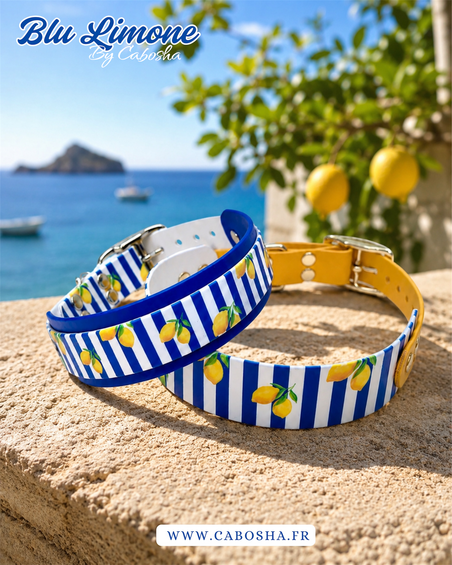 Collier chien Blu Limone 🍋