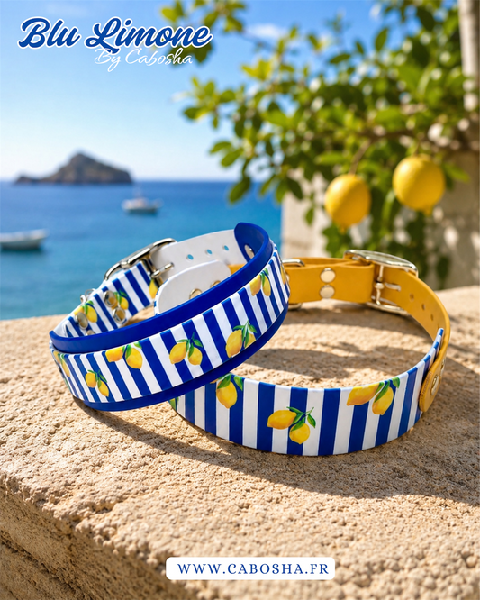 Collier chien Blu Limone 🍋