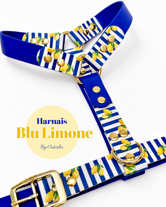 Harnais Duo BioThane®  Mare & Limone