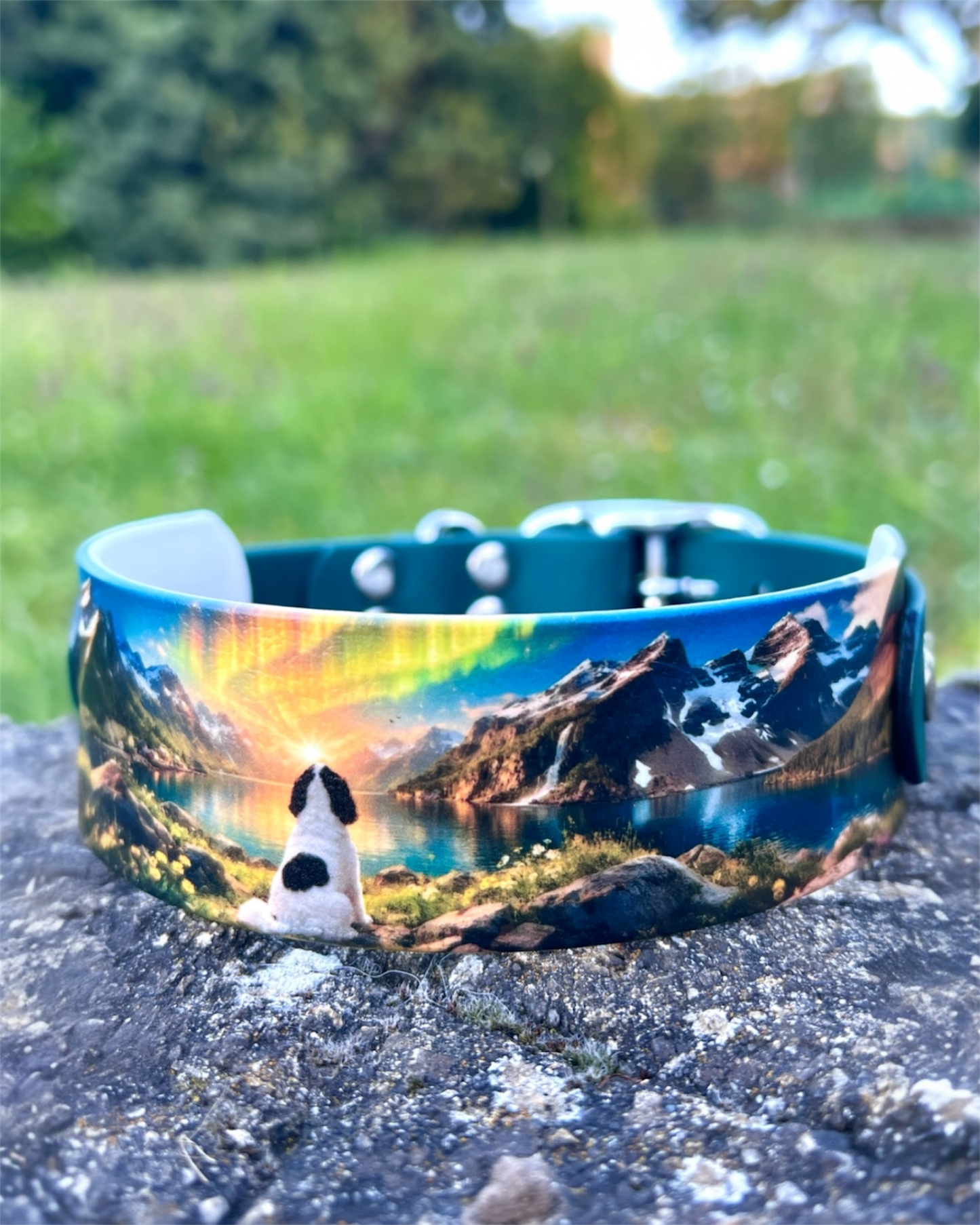 Collier Chien Imprimé (100% personnalisé)