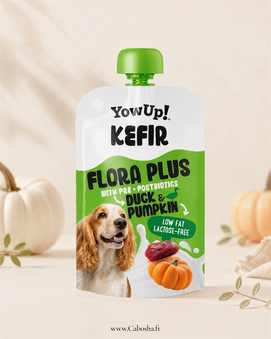 YowUp ! Yaourt Kéfir pour chiens courge et canard