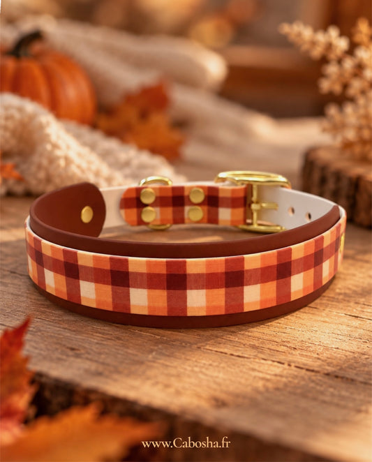 Collier chien Cozy 🍁