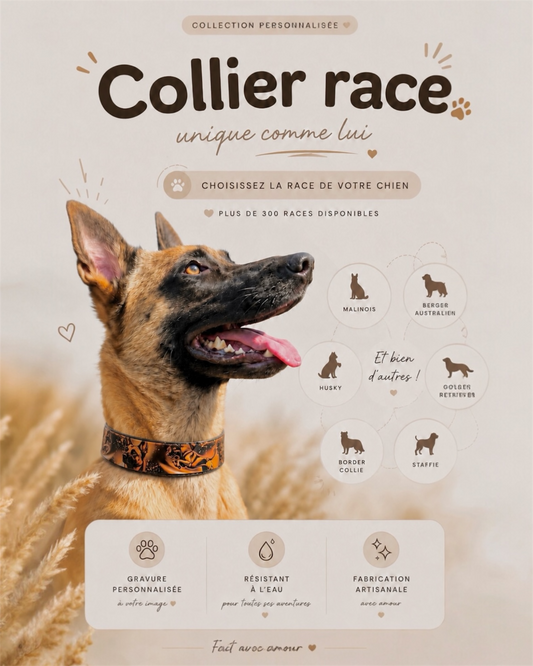Collier chien RACE