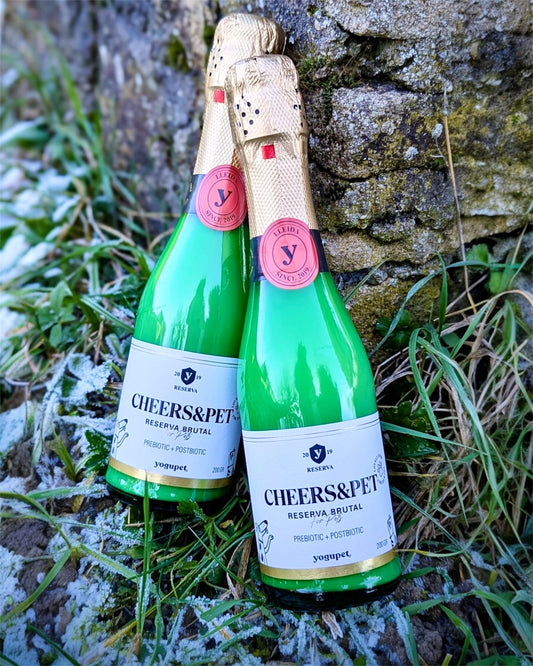 Cheers&Pet - Kéfir de lait de chèvre pasteurisé - Yogupet