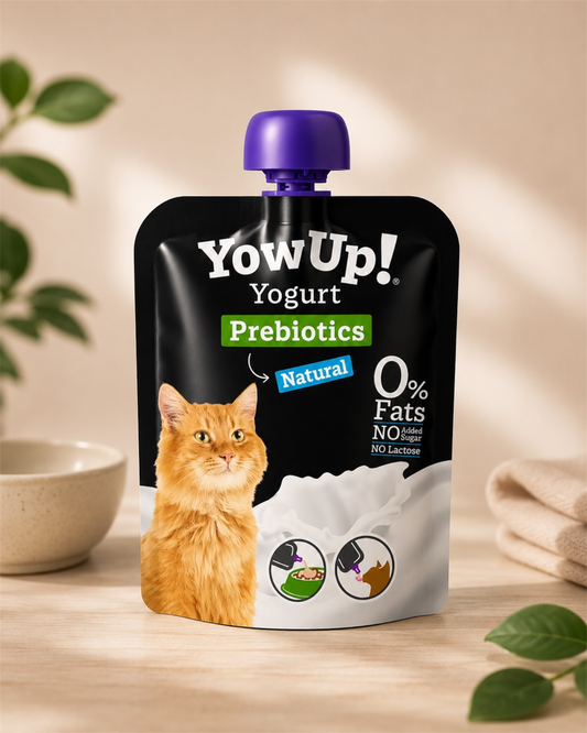 YowUp ! Yaourt naturel avec prébiotiques pour chat