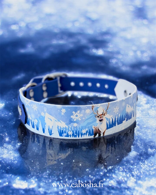 Collier chien Frosty ❄️
