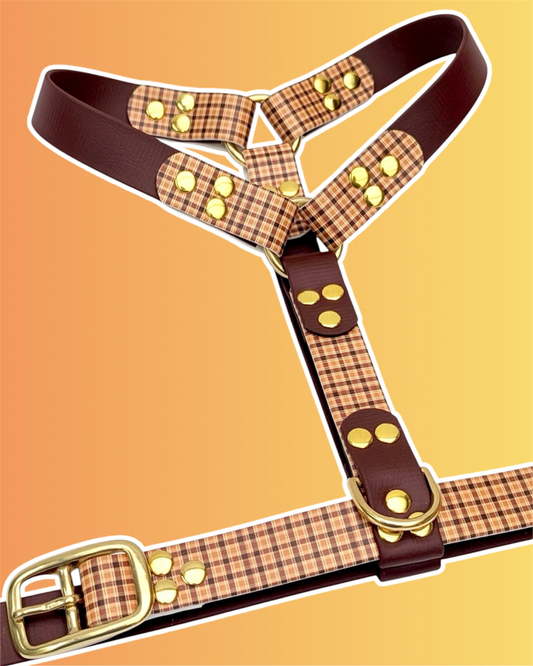 Harnais Duo BioThane®  Imprimé sur mesure