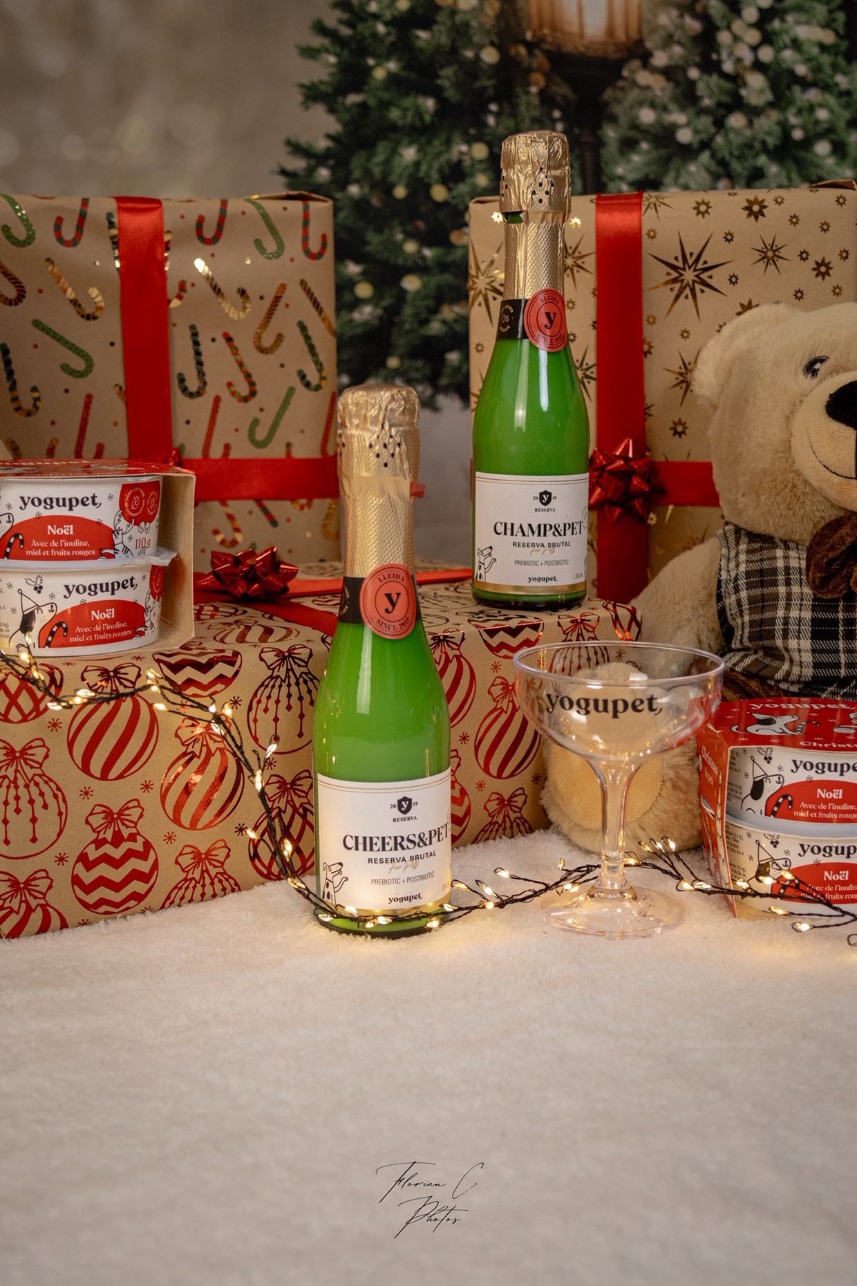 Cheers&Pet - Kéfir de lait de chèvre pasteurisé - Yogupet