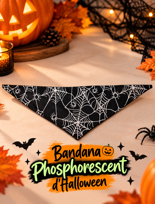 Bandana chiens phosphorescent Halloween 🎃