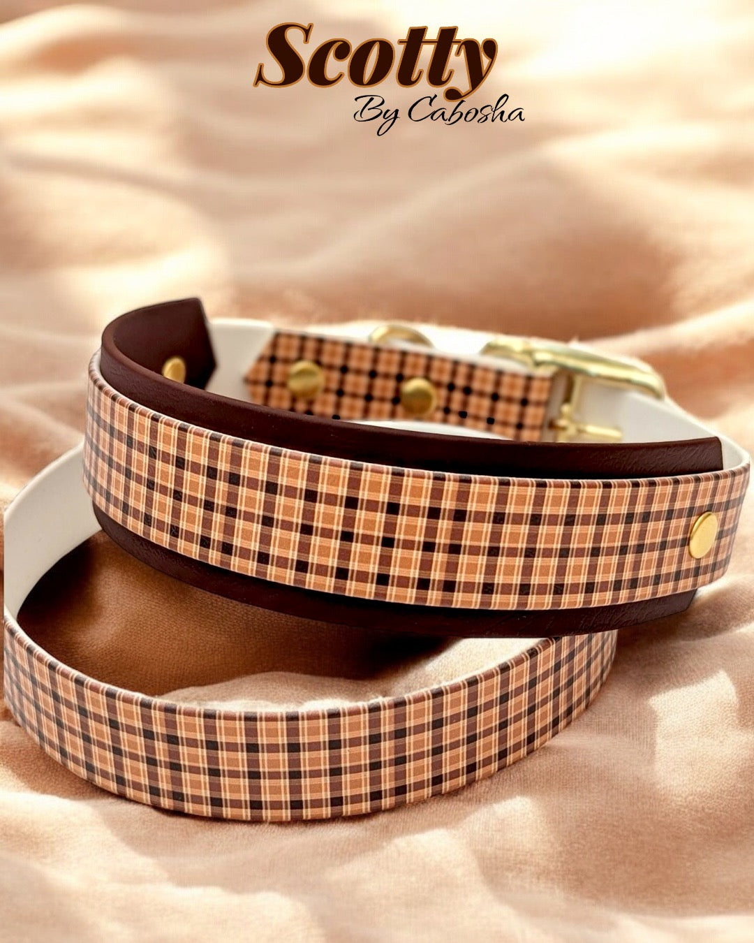 Collier chien Scotty 🍂
