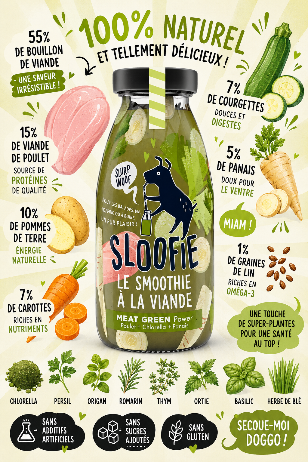 Smoothies pour Chiens - Sloofie
